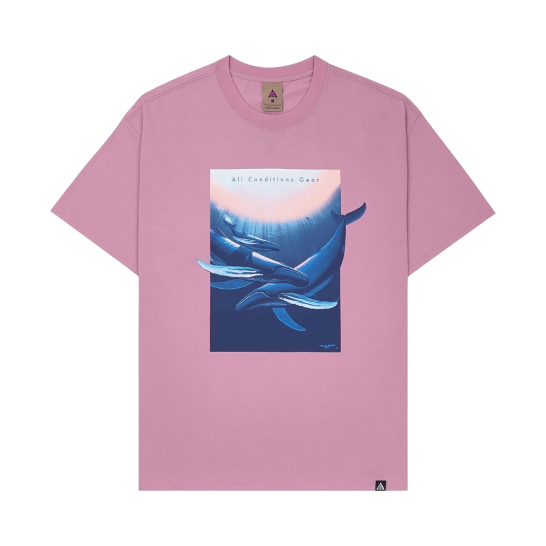 DC5359-698 Nike NRG ACG Wyland T-Shirt Elemental Pink - Asia