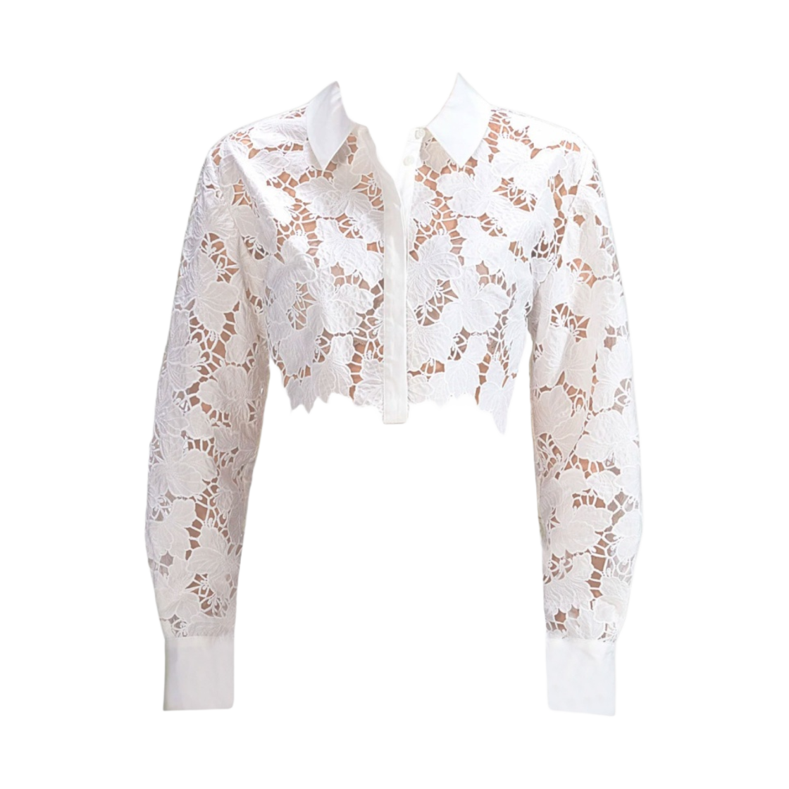 (W) 셀프 포트레이트 코튼 레이스 탑 화이트((W) Self Portrait Cotton Lace Top White) - 1