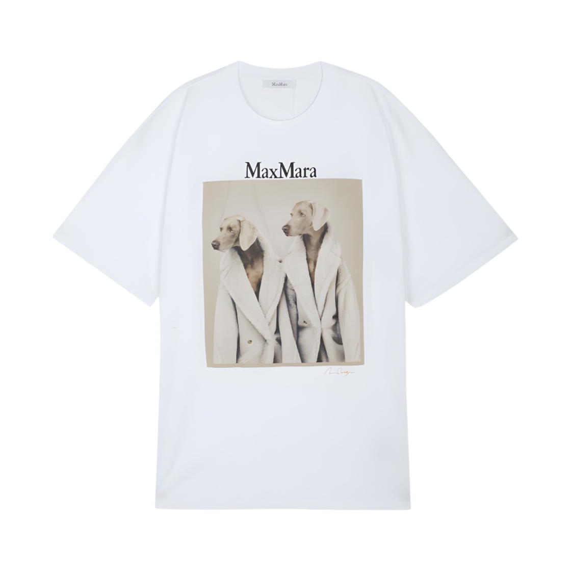 (W) 막스마라 타크코 코튼 티셔츠 화이트((W) Max Mara Tacco Cotton T-shirt White) - 1