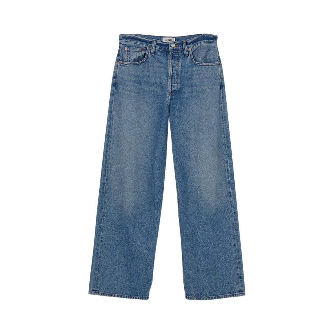 에이골디 우먼 로우 슬렁 배기 진 리버타인(Agolde Women Low Slung Baggy Jean Libertine)