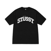 Stussy Block Sport Pigment Dyed T-Shirt Black