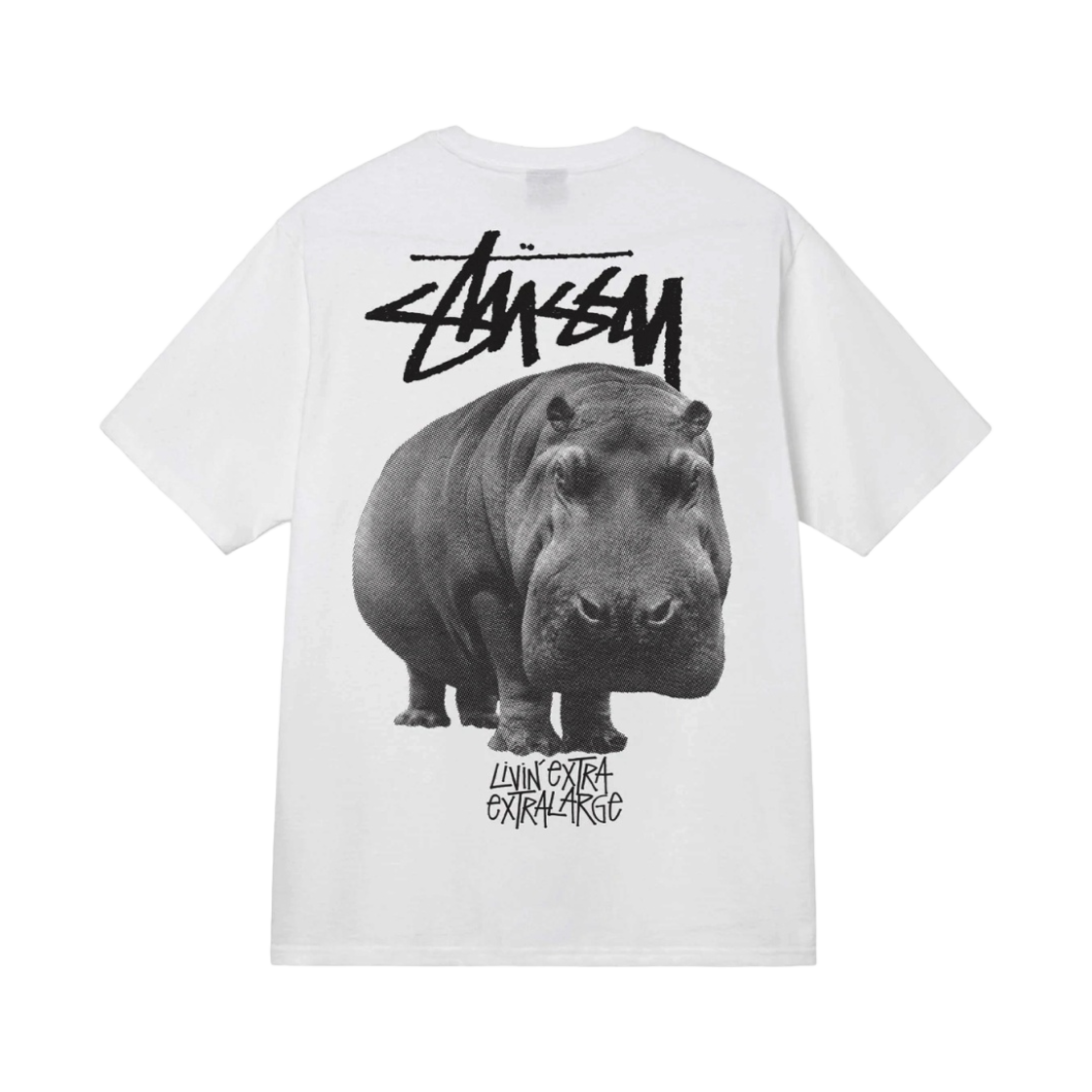 STUSSY Livin' 「Rhino Trunk」 希少size44 ステューシーリビン