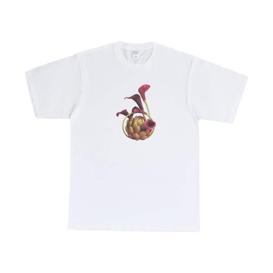 김씨네과일 & 꽃 아티초크