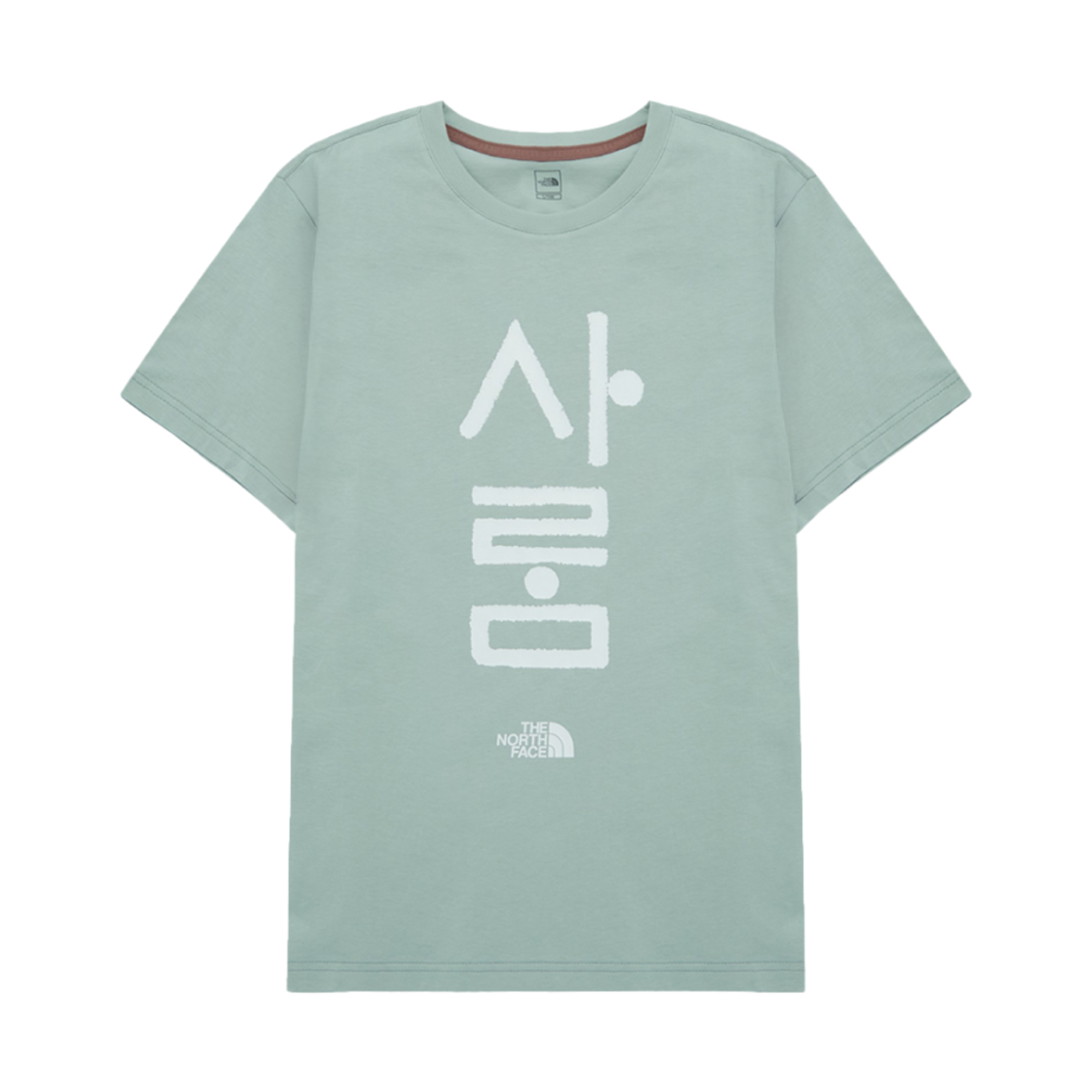 NT7UR54C The North Face Tnf Hangeul S/S Roundneck T-Shirt 6 Jade