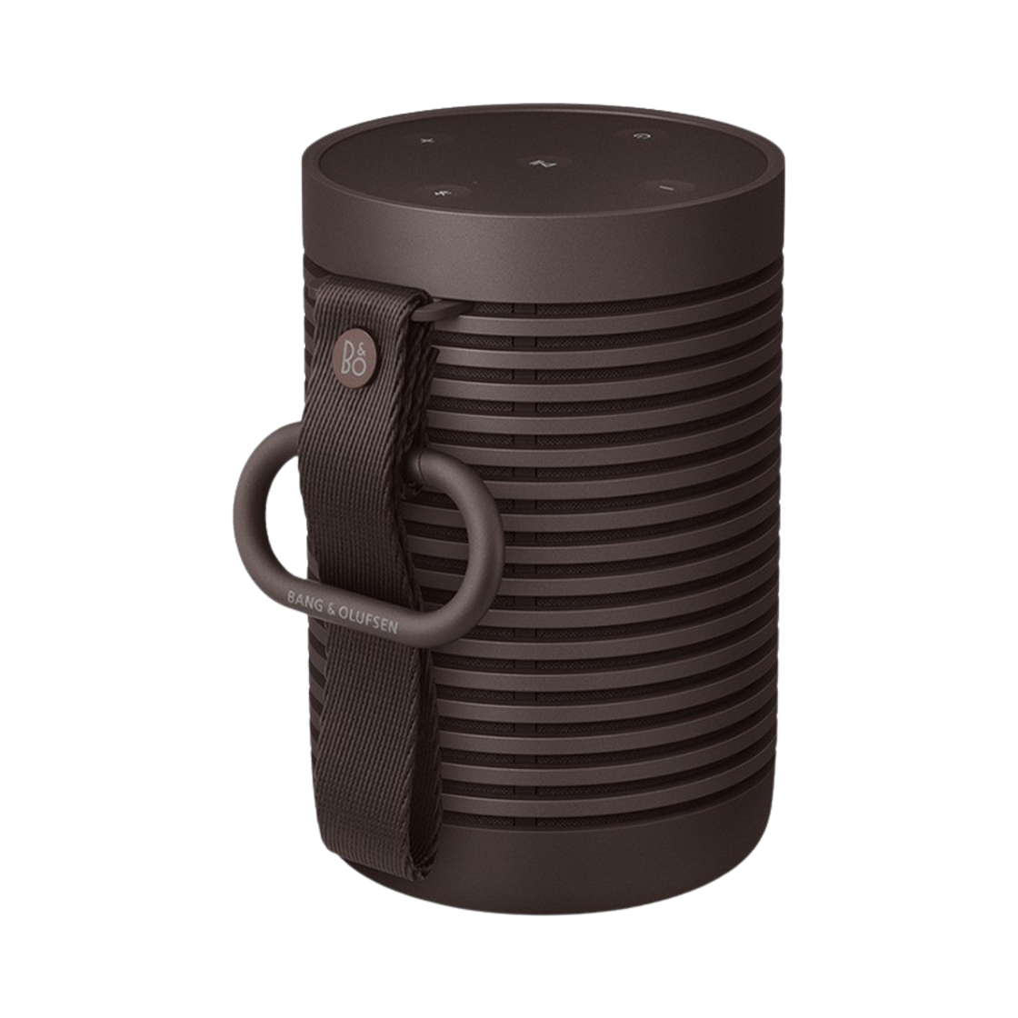 679005 Bang & Olufsen Beosound Explore Chestnut