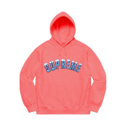 Supreme Icy Arc Hooded Sweatshirt Bright Coral - 20FW