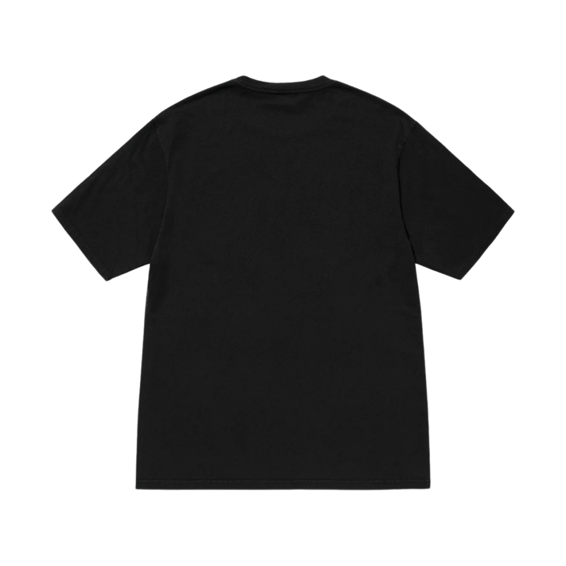 스투시 챔피언 피그먼트 다이드 티셔츠 블랙(Stussy Champion Pigment Dyed T-Shirt Black) - 2