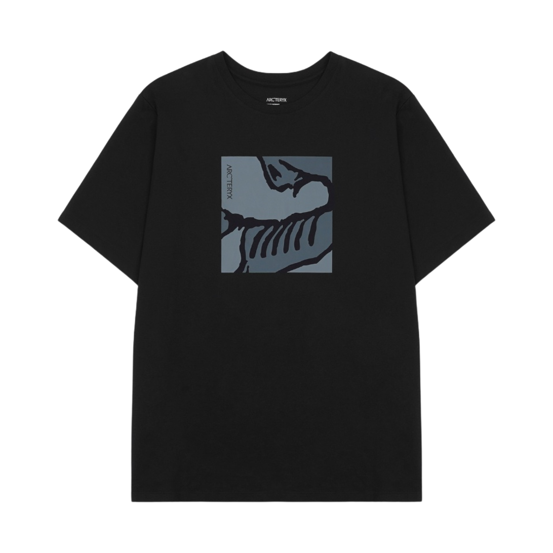 29713 Arc'teryx Skeletile T-Shirt Black - 대표 이미지 #1
