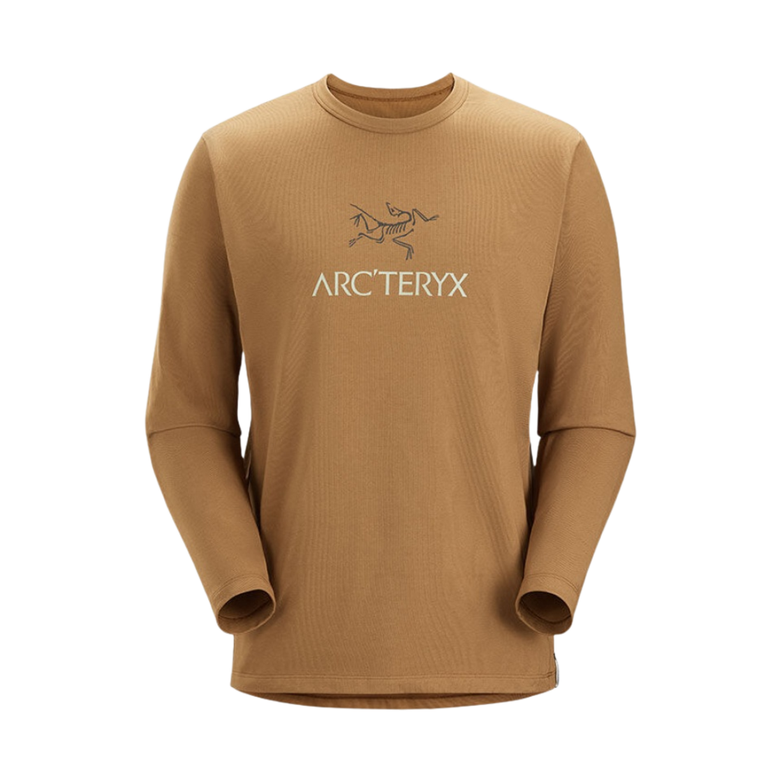 아크테릭스 캡티브 아크워드 롱슬리브 티셔츠 렐릭(Arc'teryx Captive Arc'word Long Sleeve T-Shirt Relic) - 1