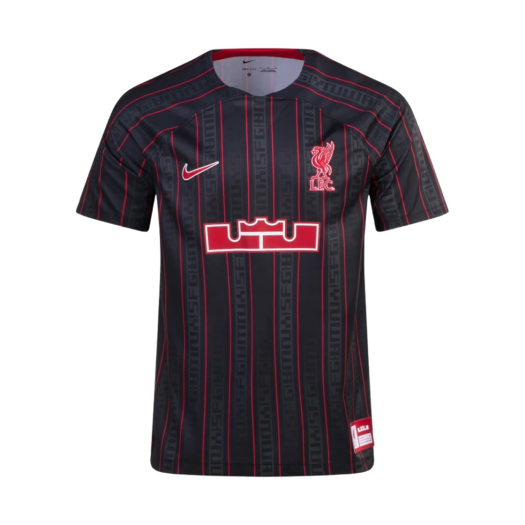 Nike LeBron x Liverpool FC 2022/23 Dri-Fit Stadium Jersey Anthracite Gym Red (Non Marking Ver.)