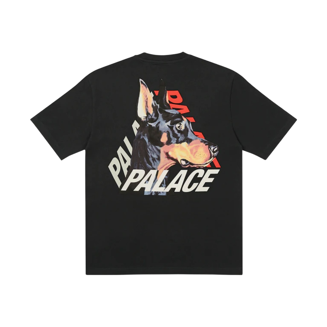 팔라스 P-3-K-9 티셔츠 블랙 - 22SS
