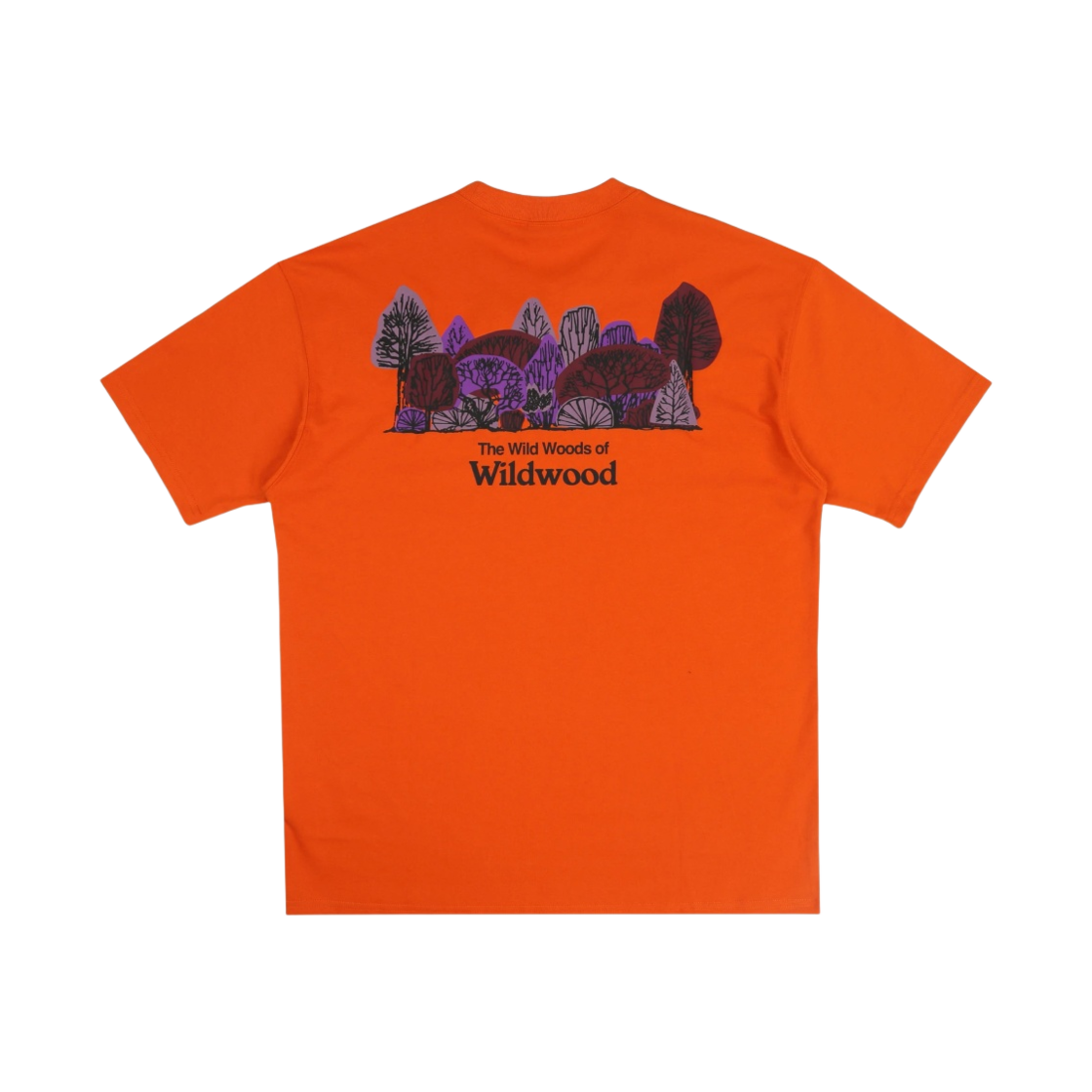 FJ1131-893 Nike ACG Wildwood T-Shirt Summit Campfire Orange - US/EU