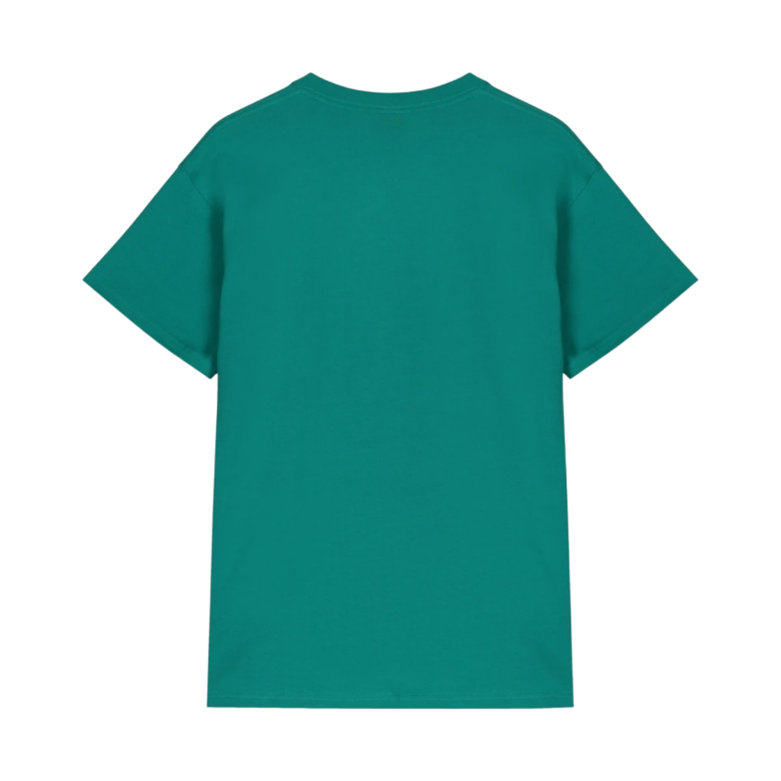 나이키 ACG 로고 티셔츠 넵튠 그린 - 아시아(Nike ACG Logo T-Shirt Neptune Green - Asia) - 2