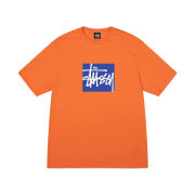 Stussy Stock Box T-Shirt Coral