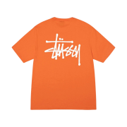Stussy Basic Stussy T-Shirt Coral 2023