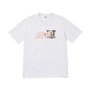Supreme Tera Patrick T-Shirt Ash Grey - 24FW