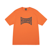 Stussy Champion T-Shirt Coral