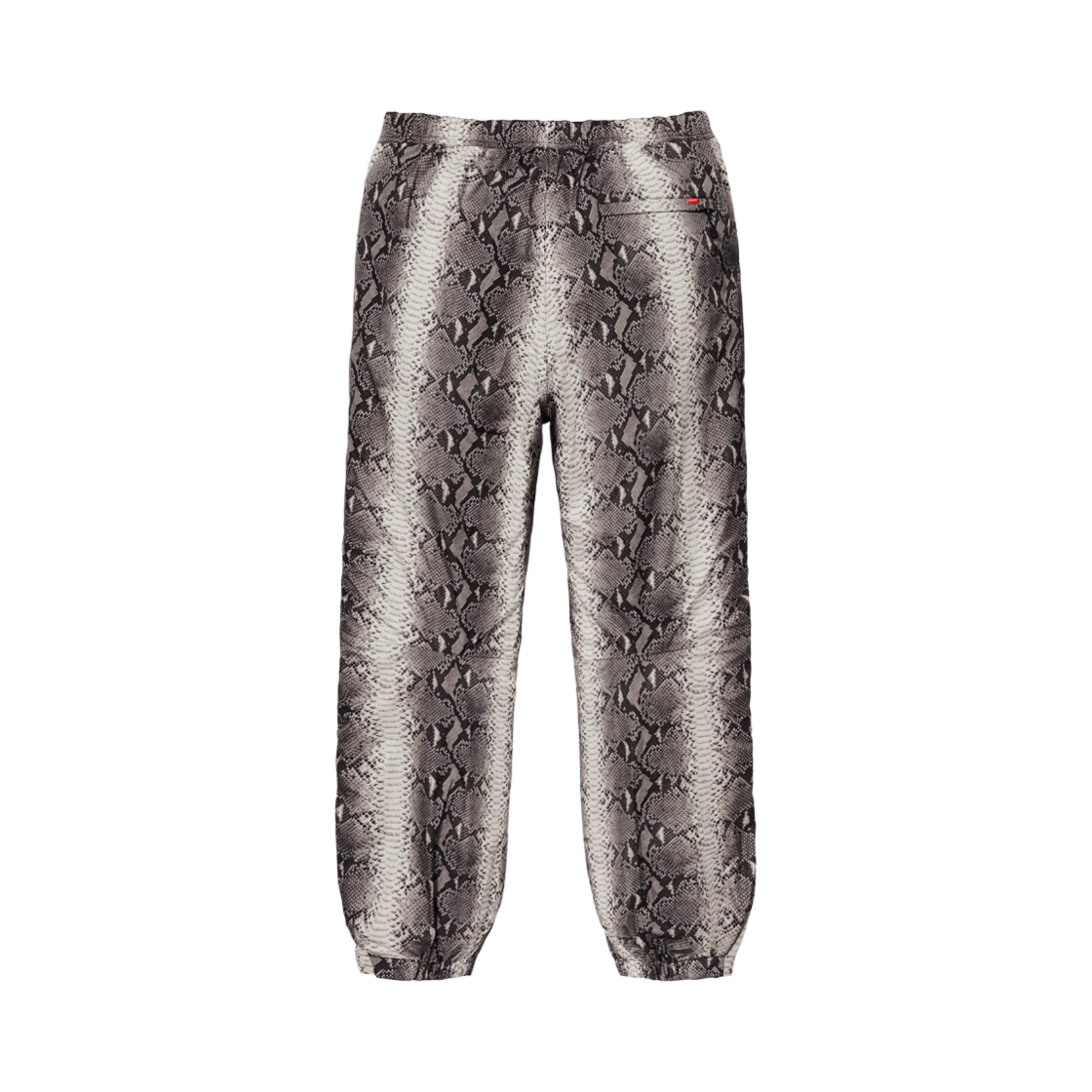 슈프림 x 노스페이스 스네이크스킨 테입드 심 팬츠 블랙 - 18SS(Supreme x The North Face Snakeskin Taped Seam Pants Black - 18SS) - 2