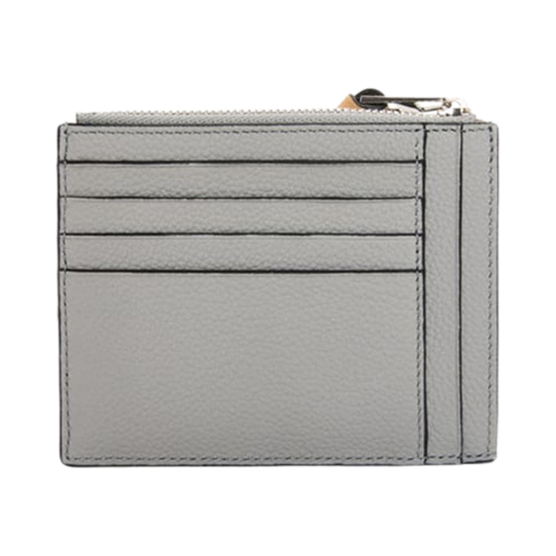 로에베 소프트 그레인드 카프스킨 라지 코인 카드 홀더 펄 그레이 더스티 블루(Loewe Large Coin Card Holder in Soft Grained Calfskin Pearl Grey Dusty Blue) - 2