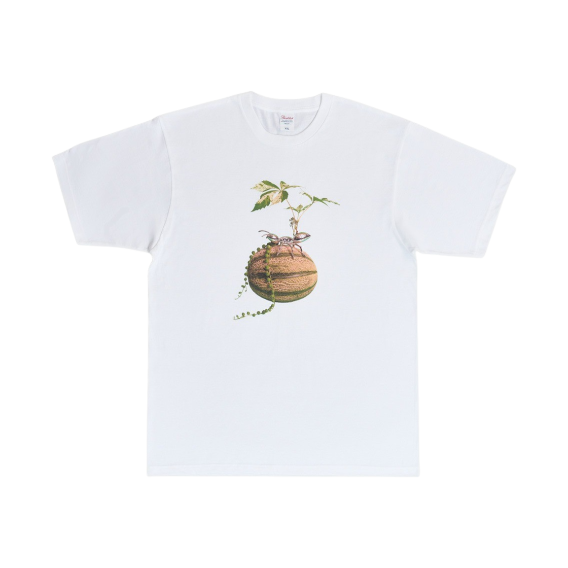 김씨네과일 & 꽃 멜론