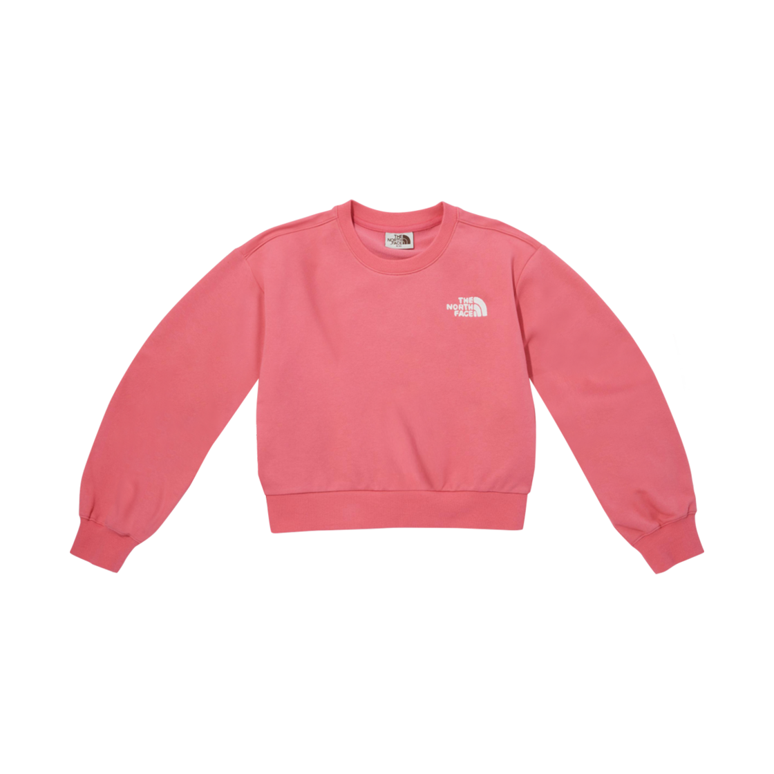 (W) 노스페이스 컴피 스웨트셔츠 핫 핑크((W) The North Face Comfy Sweatshirt Hot Pink) - 1