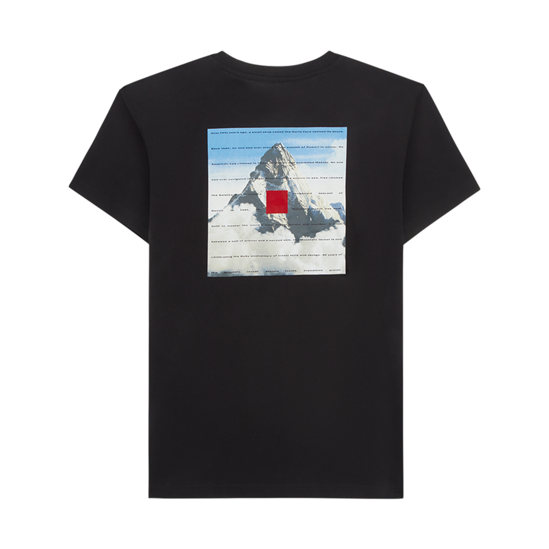 노스페이스 40주년 40주년 마운틴 숏슬리브 라운드 티셔츠 블랙 - 25SS(The North Face 40th Anniversary Mountain S/S Round T-Shirt Black - 25SS) - 2