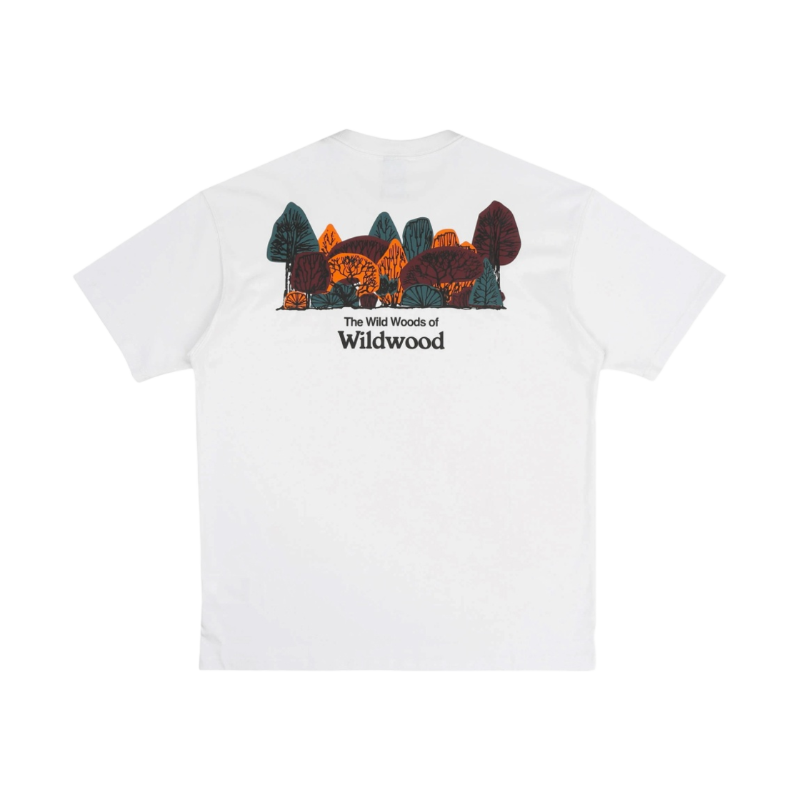 나이키 ACG  와일드우드 티셔츠 서밋 화이트 - US/EU(Nike ACG Wildwood T-Shirt Summit White - US/EU) - 2
