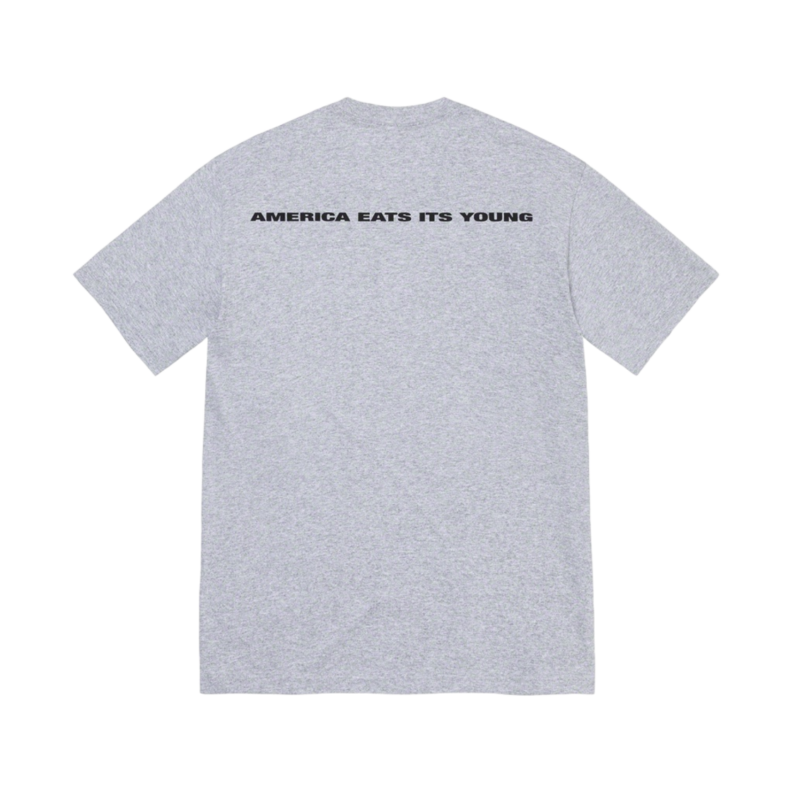 슈프림 아메리카 이츠 잇츠 영 티셔츠 헤더 그레이 - 21FW(Supreme America Eats Its Young T-Shirt Heather Grey - 21FW) - 2