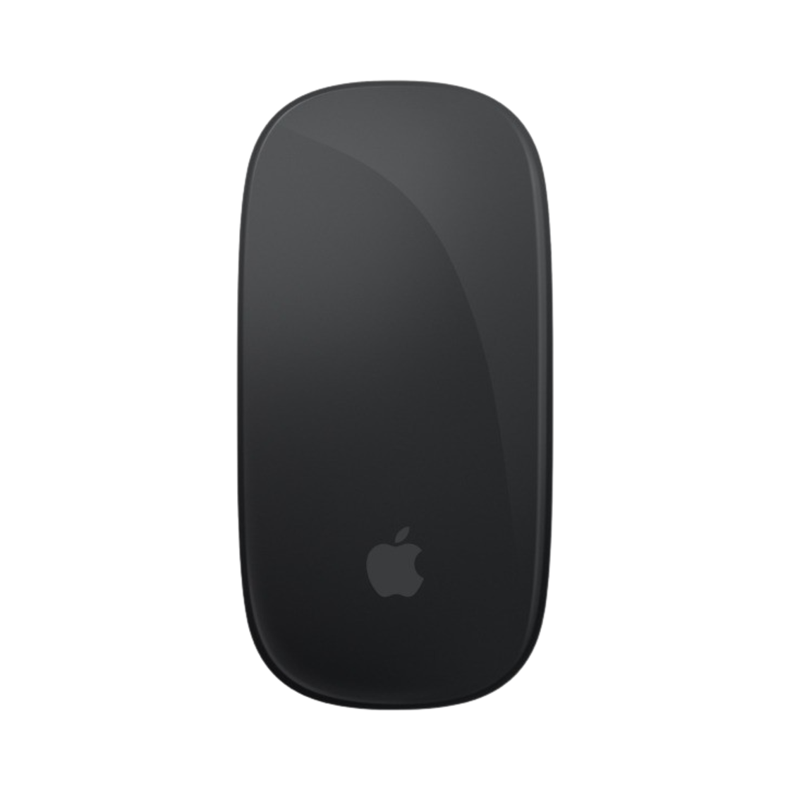 애플 매직 마우스 멀티 터치 표면 블랙 (국내 정식 발매 제품)