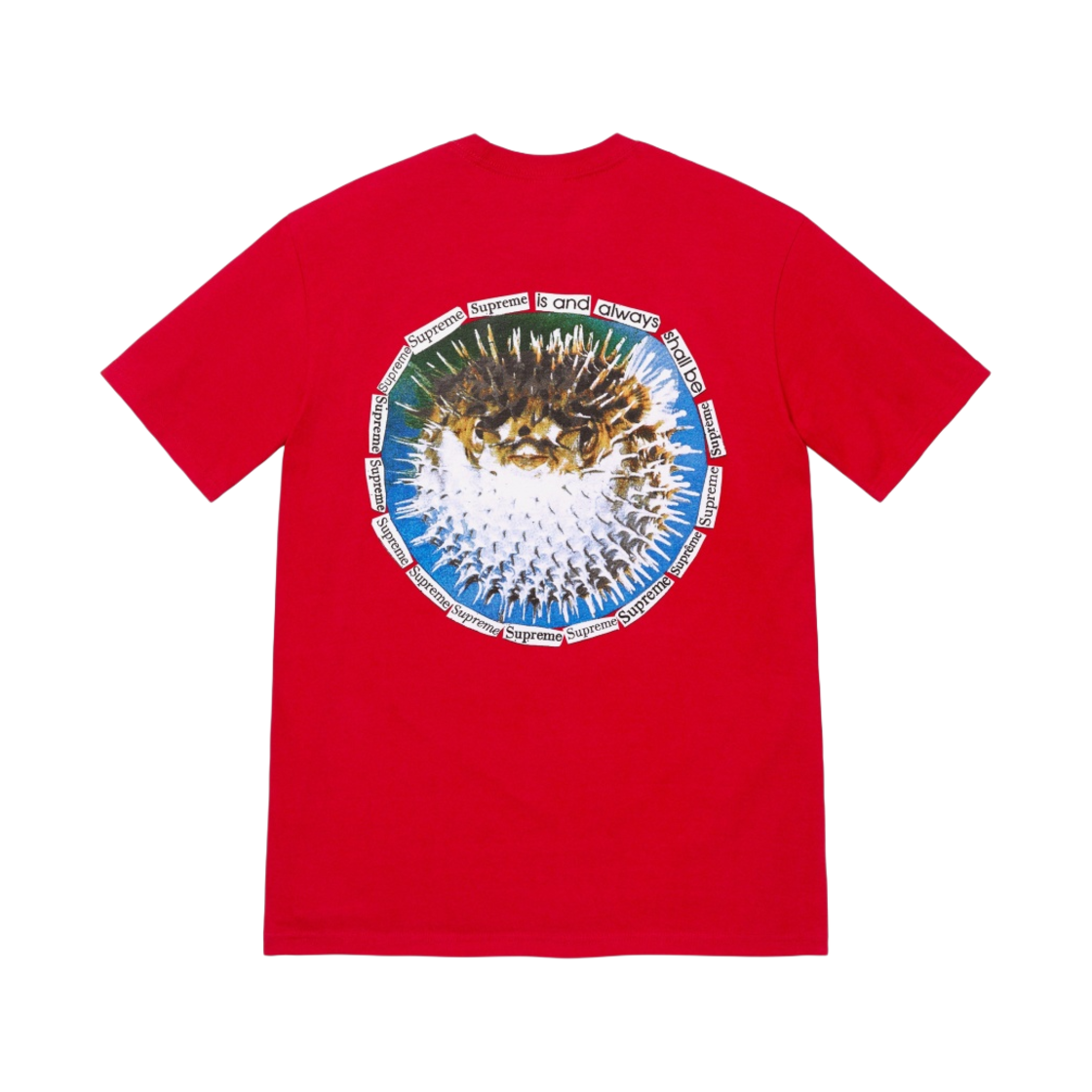 슈프림 블로우피쉬 티셔츠 레드 - 23SS