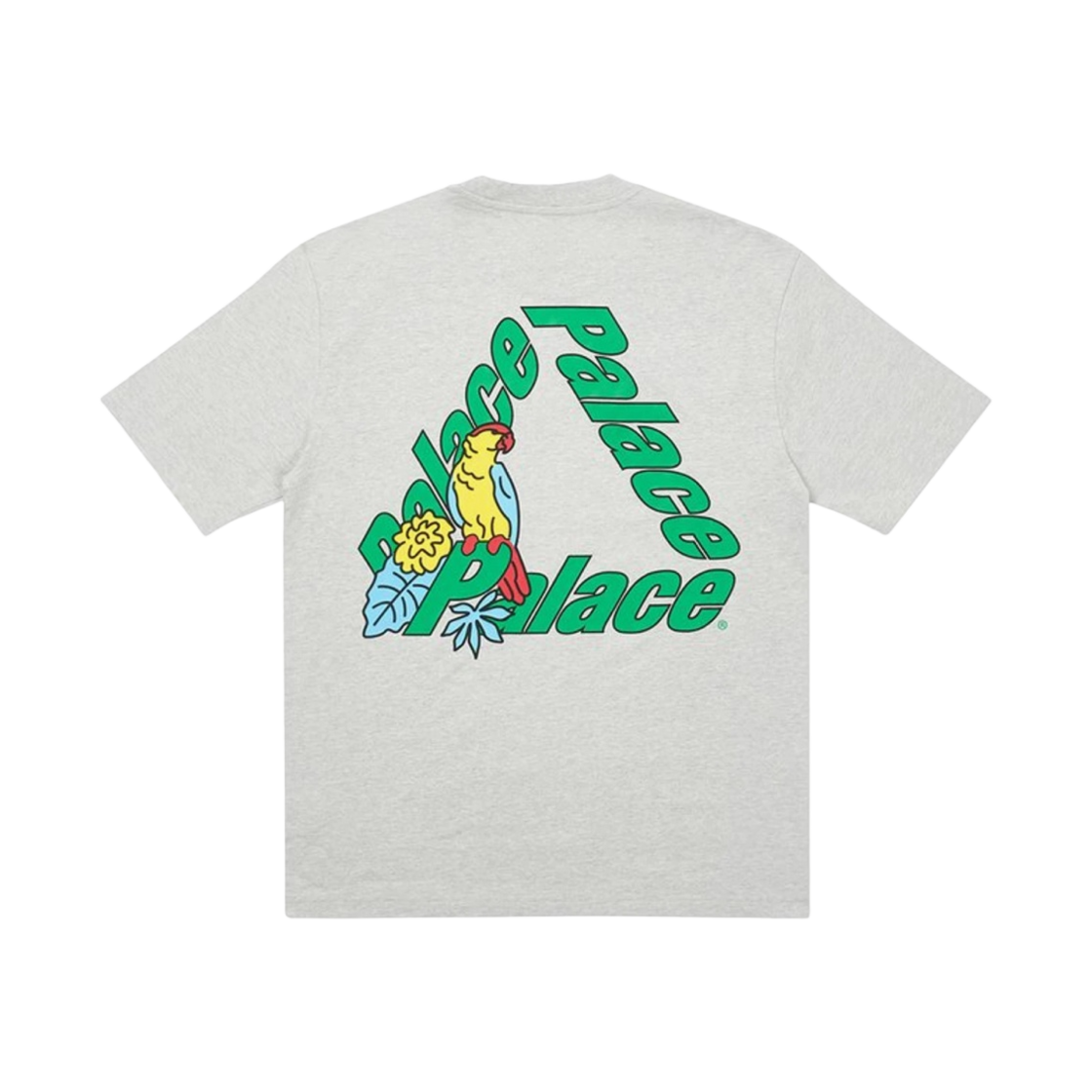 팔라스 패럿 팔라스-3 티셔츠 그레이 말 - 20FW