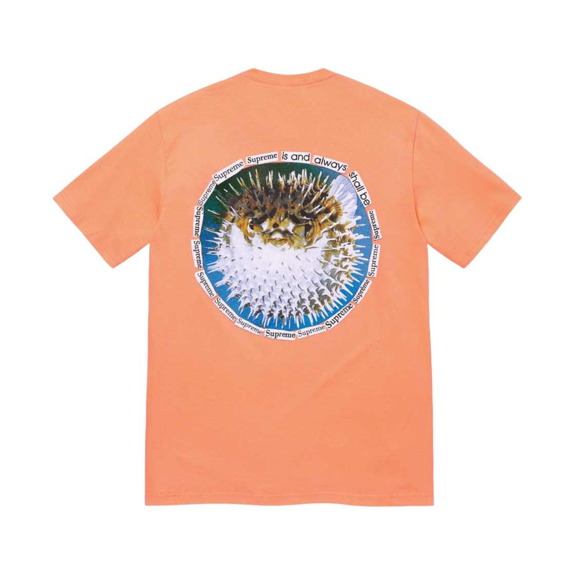 - Supreme Blowfish T-Shirt Peach - 23SS