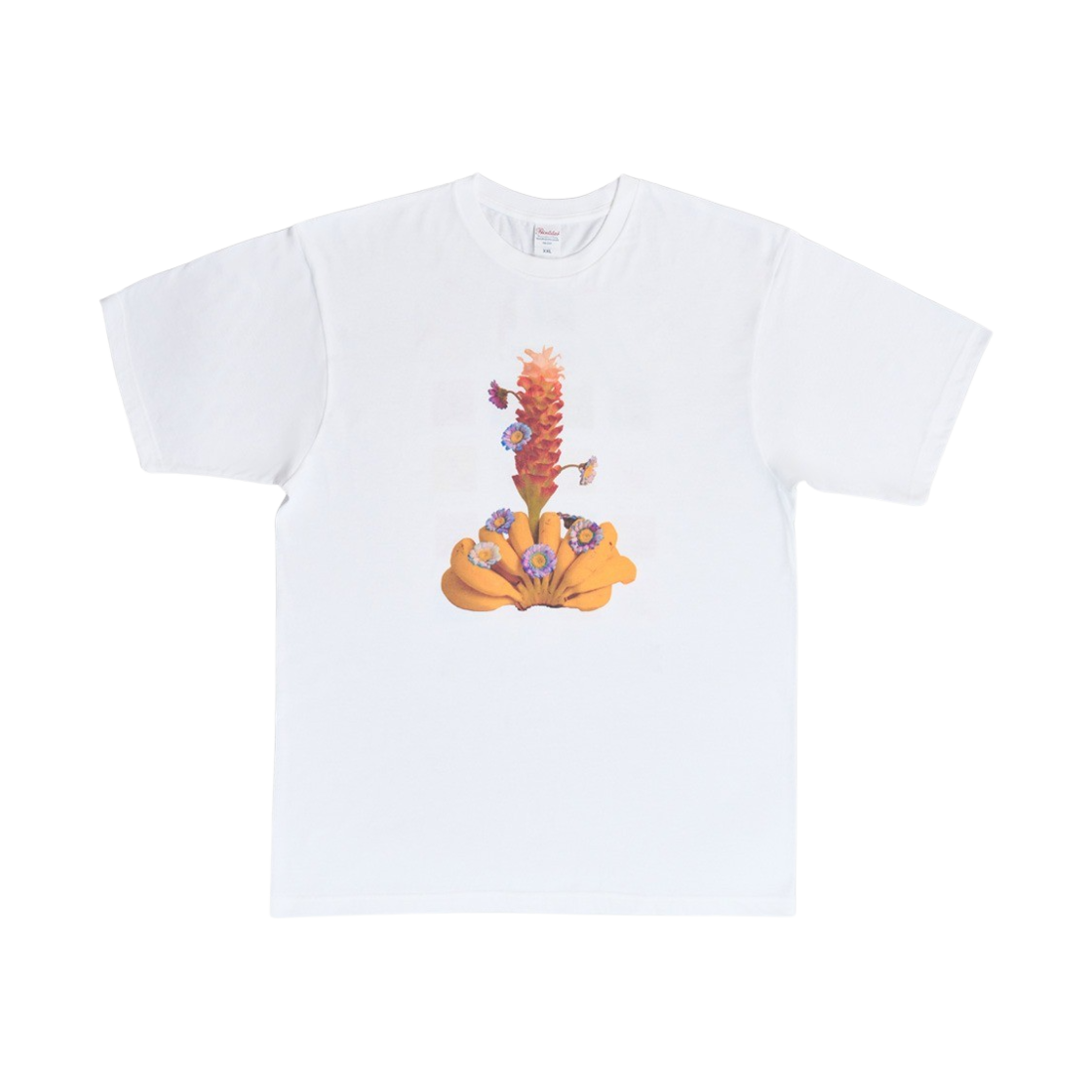 김씨네과일 & 꽃 바나나