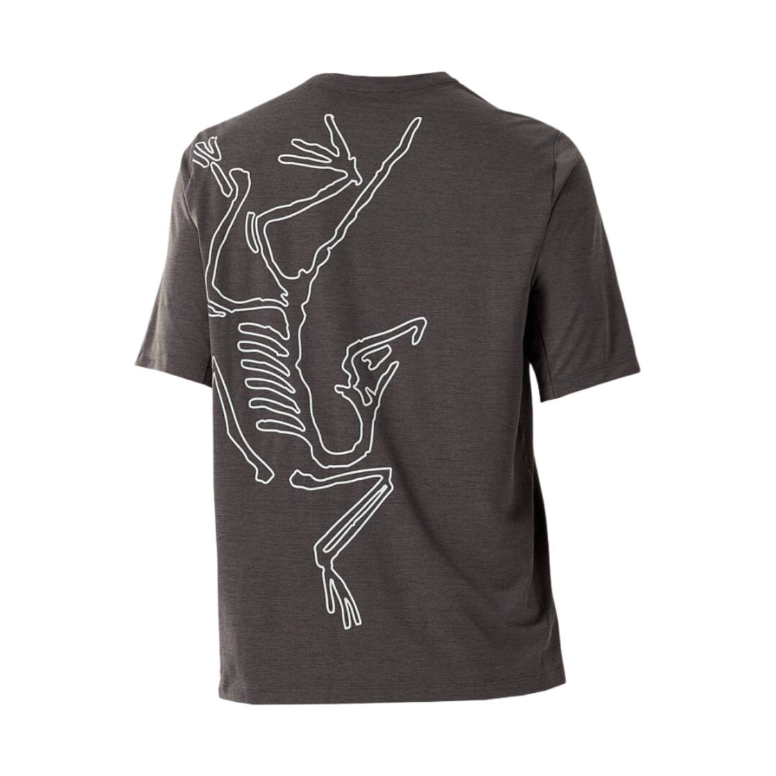아크테릭스 코막 아크버드 로고 SS 티셔츠 블랙 헤더(Arc'teryx Cormac Arc'Bird Logo SS T-Shirt Black Heather)