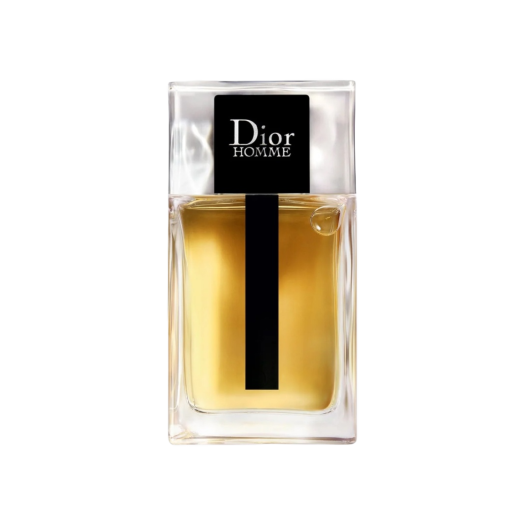 Dior Homme Eau de Toilette 100ml (Korean Ver.)