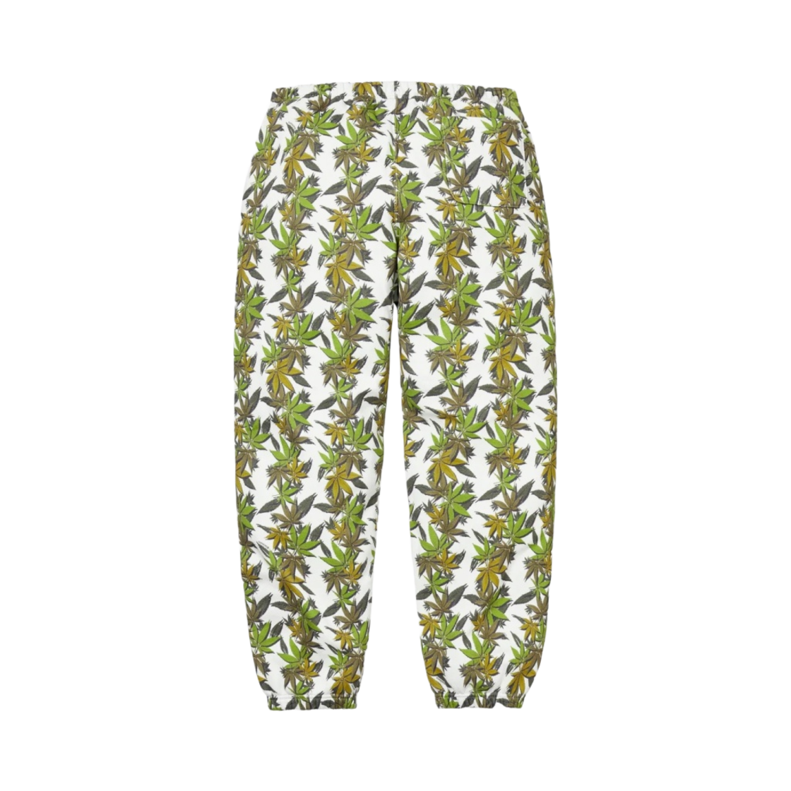 슈프림 x 노스페이스 리프 스웨트팬츠 화이트 - 23FW(Supreme x The North Face Leaf Sweatpant White - 23FW) - 2