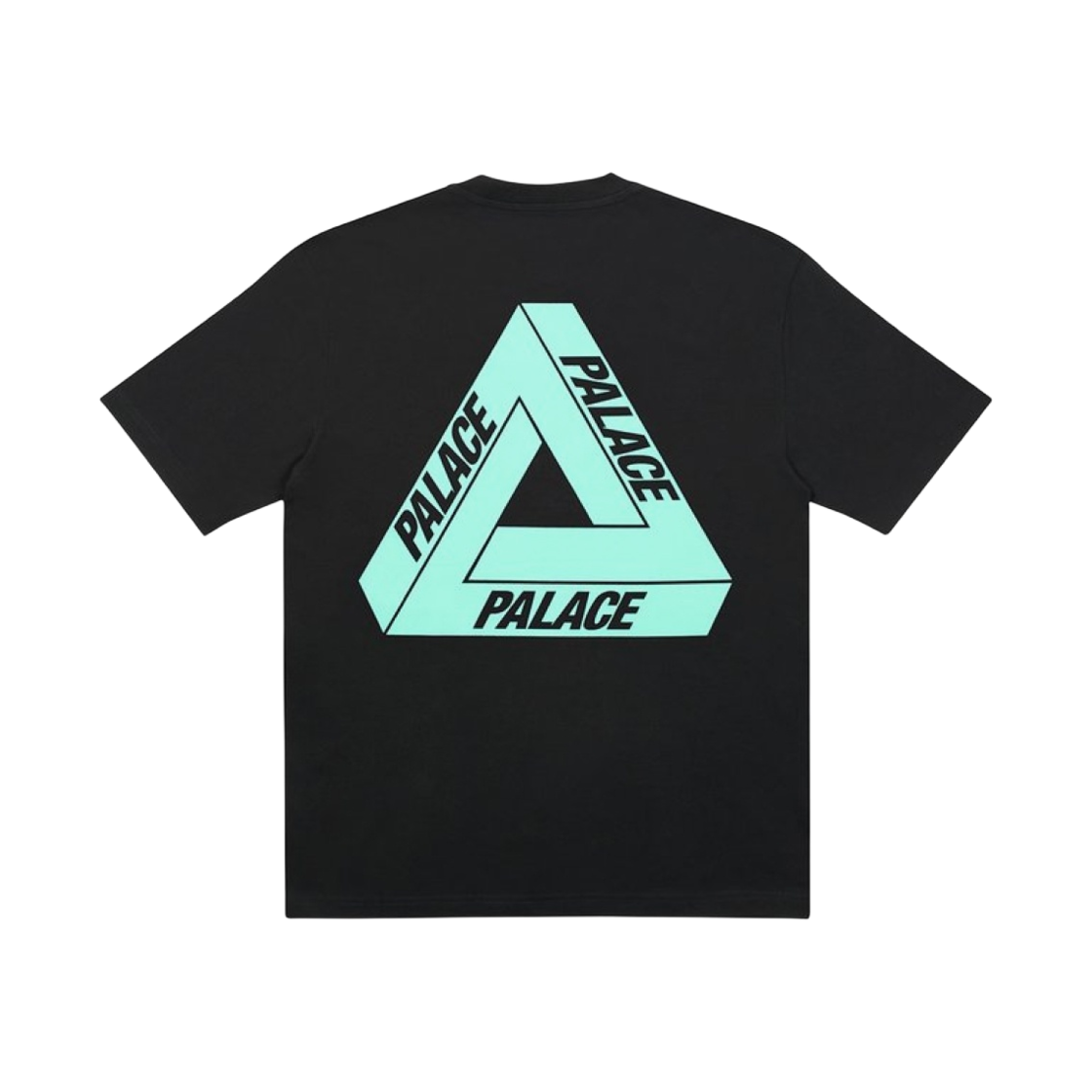 팔라스 트라이투헬프 티셔츠 터콰이즈 - 20FW