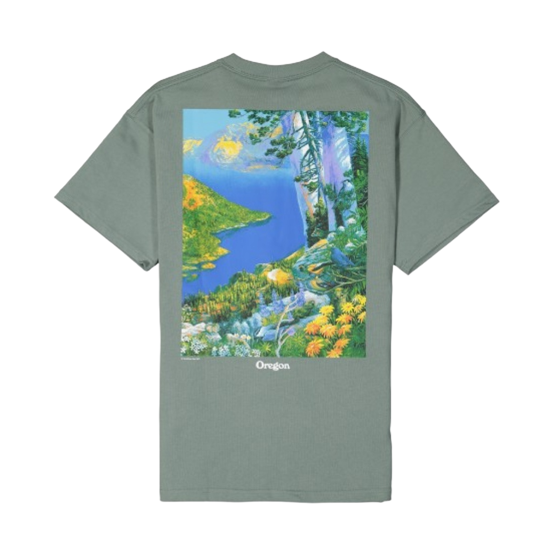 나이키 NRG 숏슬리브 그레이터 레이크 티셔츠 클레이 그린 - 아시아(Nike NRG ACG Short Sleeve Crater Lake T-Shirt Clay Green - Asia) - 2