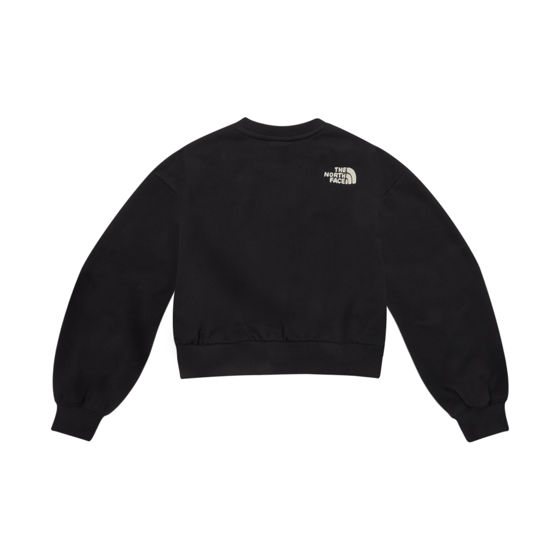(W) 노스페이스 컴피 스웨트셔츠 블랙((W) The North Face Comfy Sweatshirt Black) - 2
