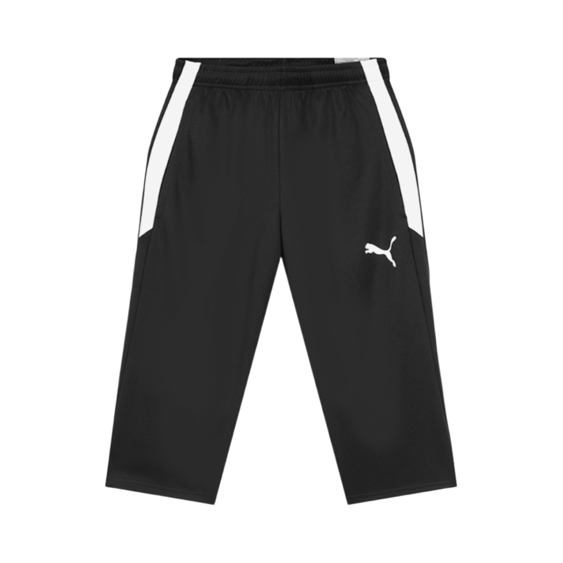 657493-03 Puma Team Liga 25 Training 3/4 Pants Black
