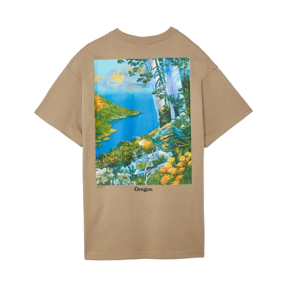 나이키 NRG 숏슬리브 그레이터 레이크 티셔츠 카키 - US/EU(Nike NRG ACG Short Sleeve Crater Lake T-Shirt Khaki - US/EU) - 2