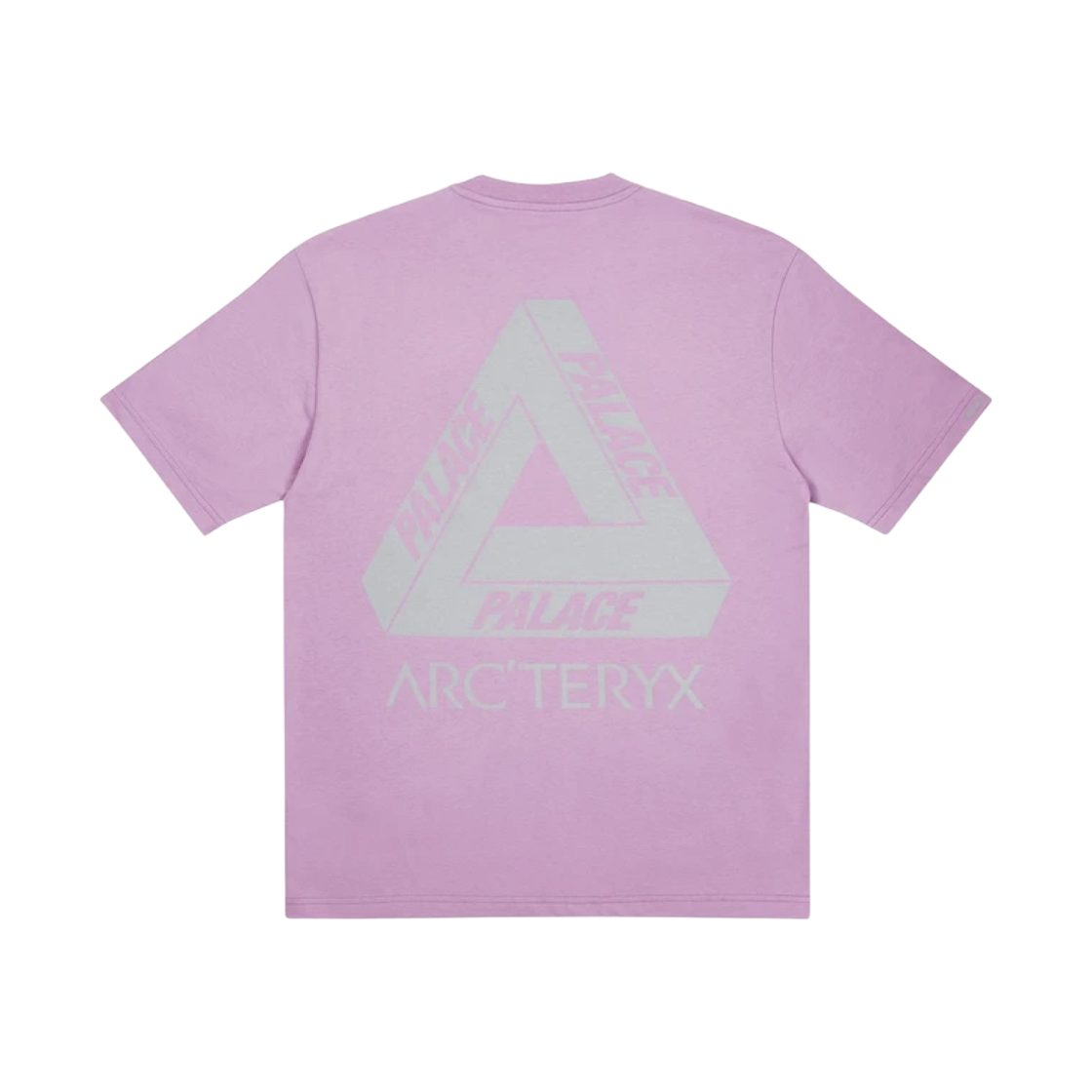 - Palace x Arc'teryx T-Shirt Haze - 20FW