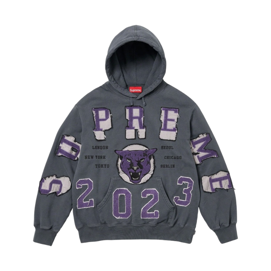 슈프림 워시드 팬서 후드 스웨트셔츠 블랙 - 23FW