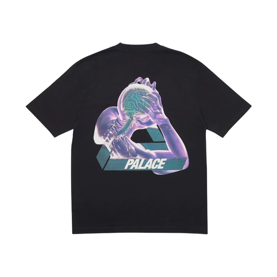 팔라스 트라이게인 티셔츠 블랙 - 20SS