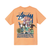 Stussy Psychedelic T-Shirt Peach