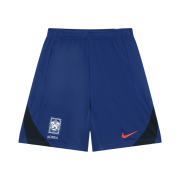 Nike Korea Strike Dri-Fit Knit Soccer Shorts Global Blue