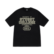 Stussy Property of T-Shirt Black