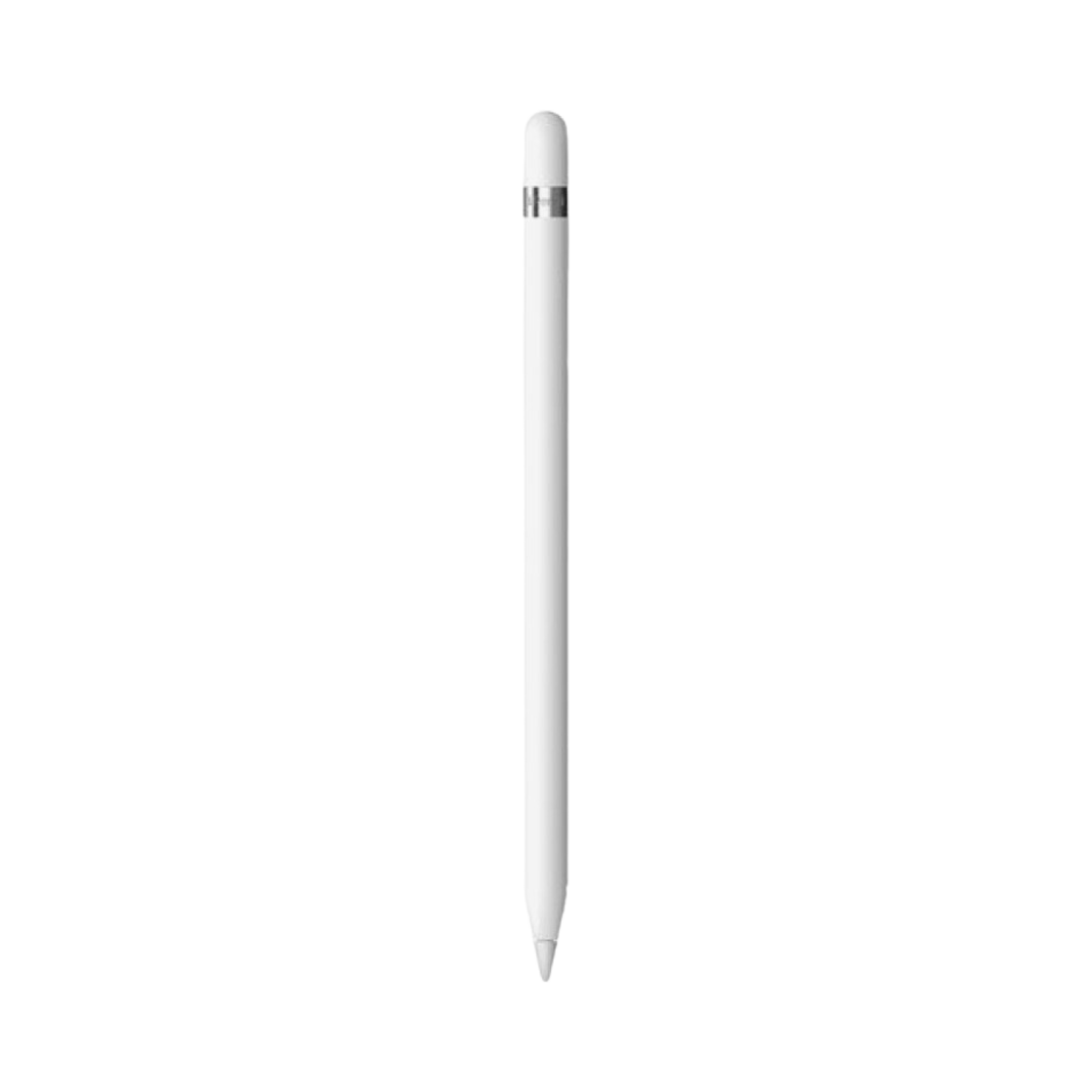 애플 펜슬 1세대 USB-C 어댑터 포함(Apple Pencil 1st Gen with USB-C Adapter)