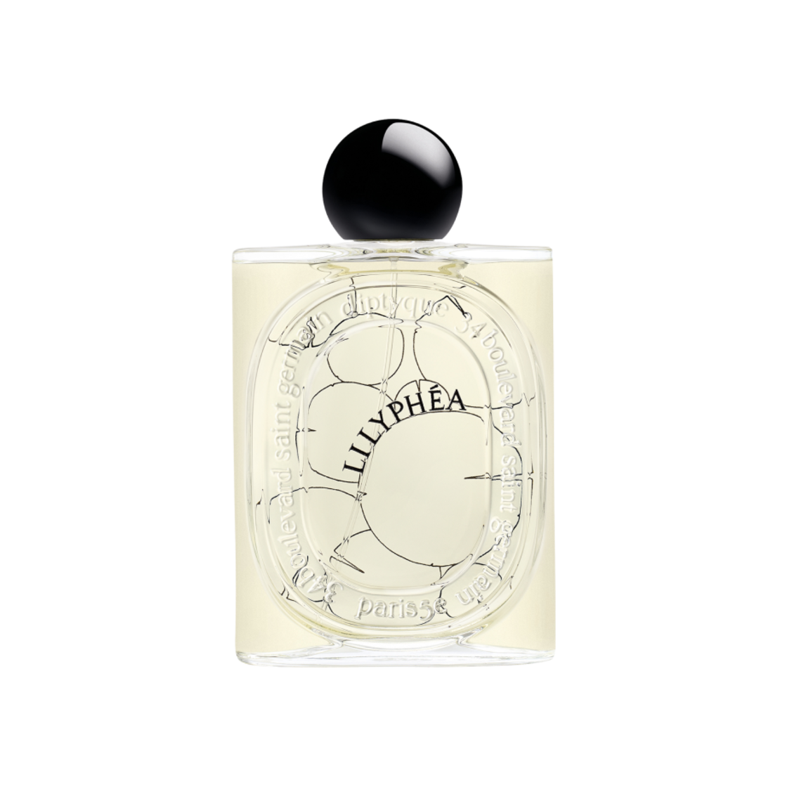 딥티크 릴리피아 오 드 퍼퓸 100ml(Diptyque Lilyphea Eau De Parfum 100ml)