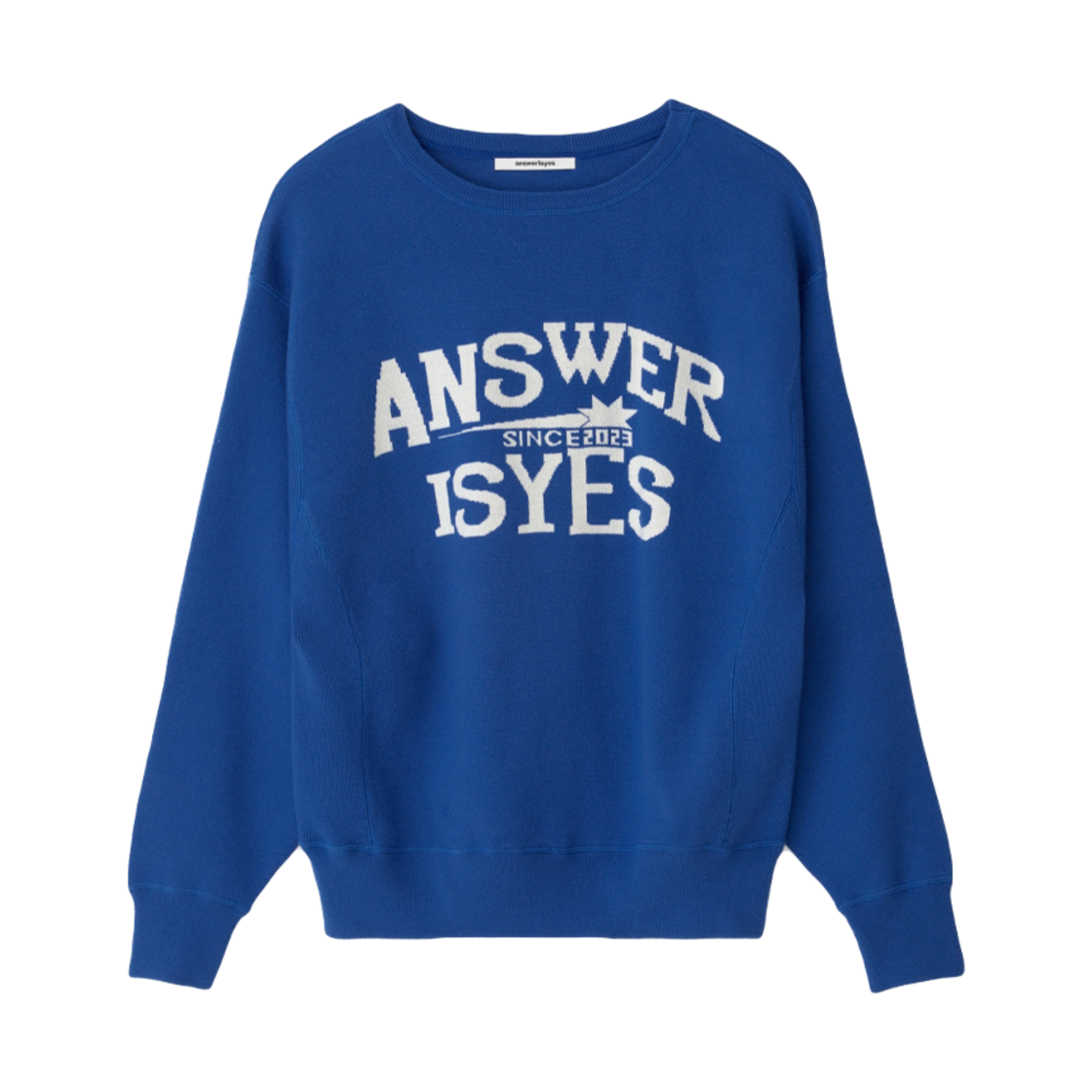 10032720003333 Answerisyes aiy Logo sweatshirt Blue